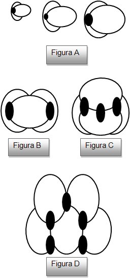 caracteristicas-full1
